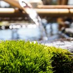 Landscape-Break_20901639