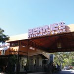 Berries-In-The-Grove