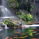 -NAture-Time_14304260