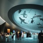 Philanthropy-In-Paradise