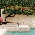 Compass-Home-Woven-Haven