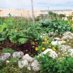 Horizontal-Photo-Right-Bottom