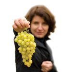 Be-Grapeful_5847732