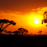 African sunset