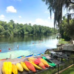 1601405399-3d177424ee60d25fbbb2610bacb13ab8