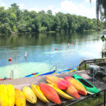 Page 5 (2)_Rainbow Springs – Drone – 01 – 2019 (Clint Johnston)