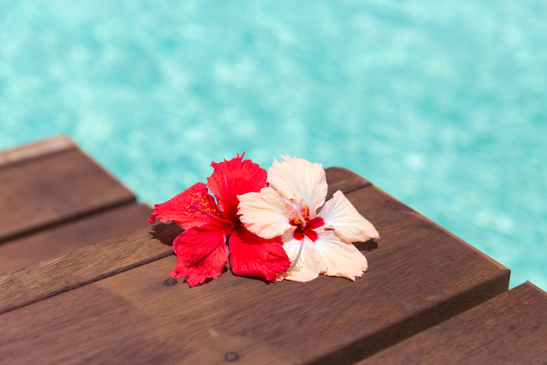 Poolside rendezvous and fun in the sun welcomed in the new season with gusto.