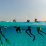 Group of tourists in the open ocean snorkeling reef excursion, U