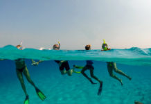 Encounters Around Town — July 2021 A family dives in to explore the waters off Key Biscayne
