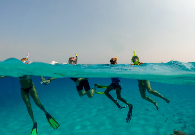 A family dives in to explore the waters off Key Biscayne