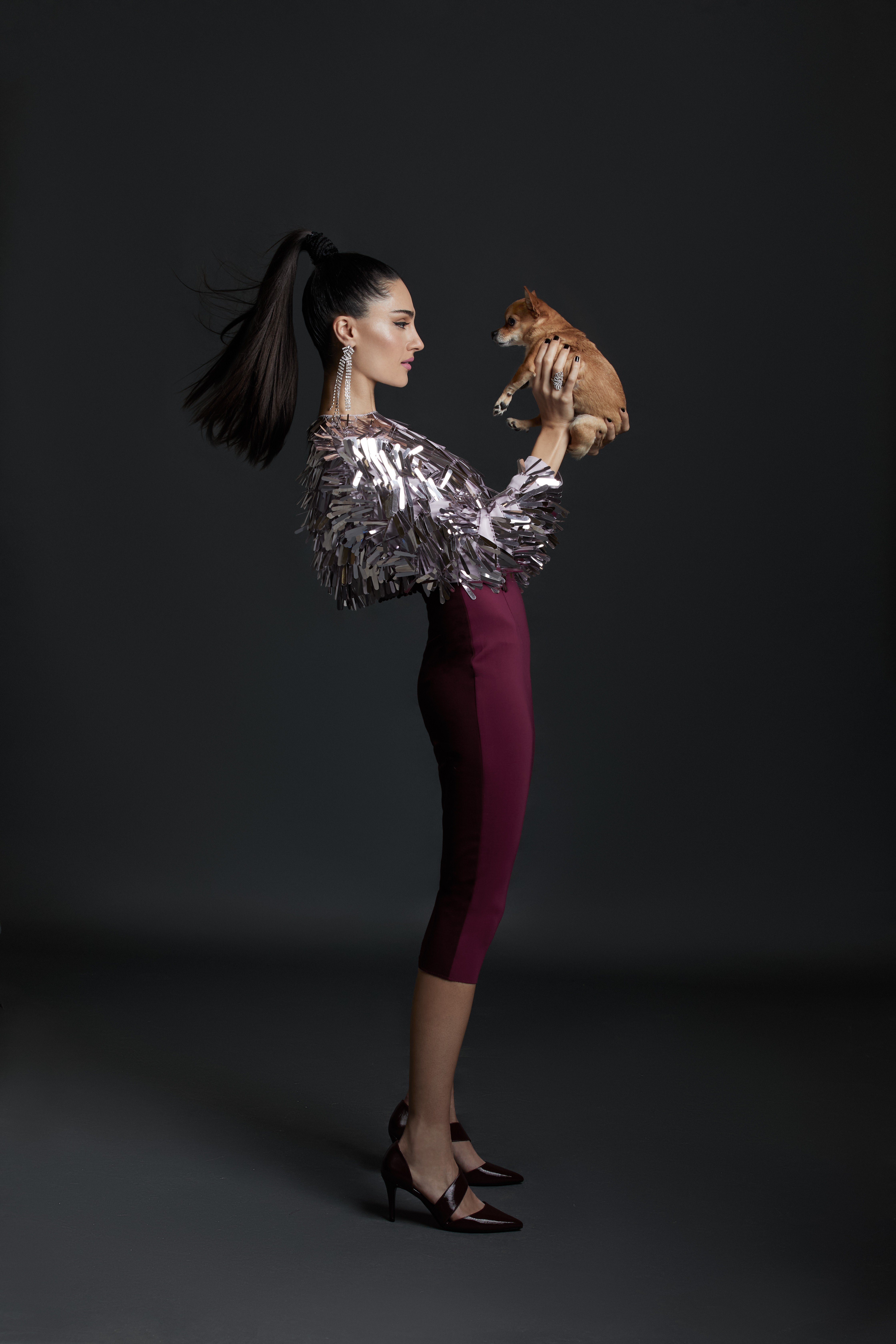 Brickell_Mag_DOGS_MarchIssue0628_COMP FINAL