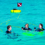 1656268047-2fdce2882c59248956046f75199f3a7c