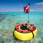 BROWNIE'S MARINE GROUP ECO-FRIENDLY SYSTEMS