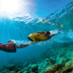 1656268186-53a7936ad33755989bef7834bed3d0e5