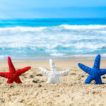 Starfish on beach during July fourth
