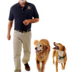 Dog Lover – Paul_Owens-High-res