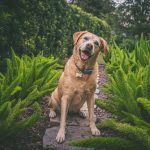 Amy Oliverio Photography – FINAL cali-lrrof-2024-4798