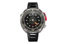 Distinctive Diver
