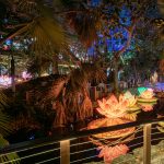 DSC05485  Luminosa Miami 2025 TOUCHEDUP