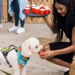DoggizenFoodFest38