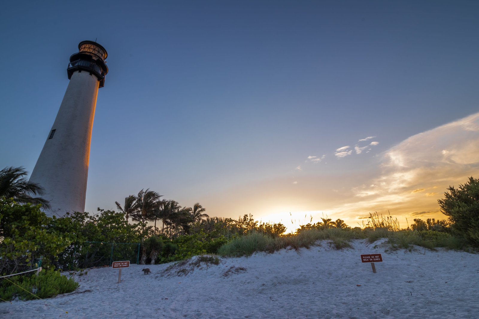 Lighthouse Run – 411: Lighthouse Run, Sunset Core, Tennis for Good & Rastrillo 305